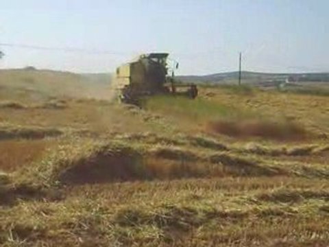 8080 ve 8060 Clayson Biçerdöverin 2009 Sezon Buğday Biçimi