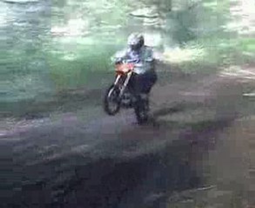 125 Kx, 125 Rm et 65 Sx