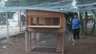 Sizes of Wire Mesh for Chicken Coops – Hen Houses Explained