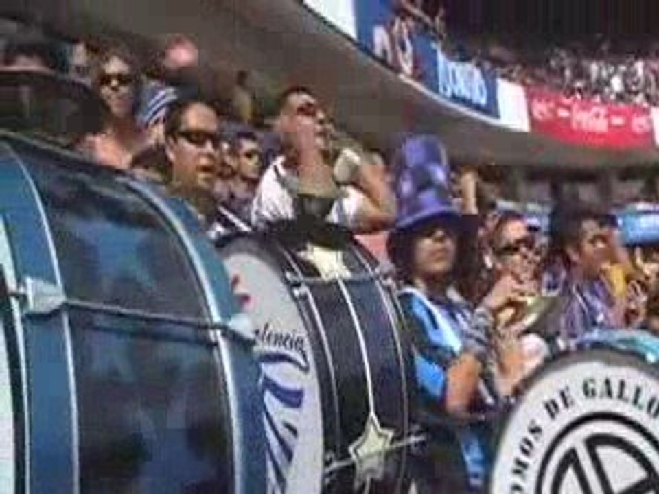 Gallo Fan vs rayados