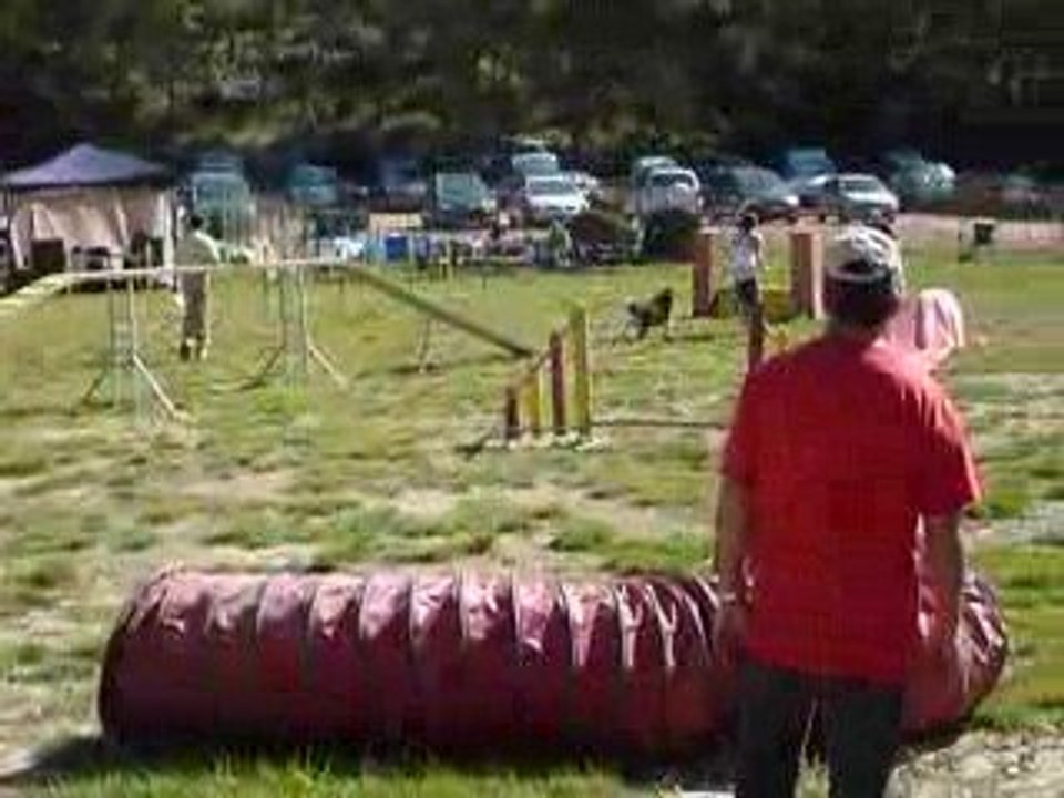 Angie - 1er degré St Mitre les Remparts