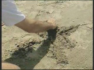 Le Rhône, un fleuve en mouvement - Le sable precieux