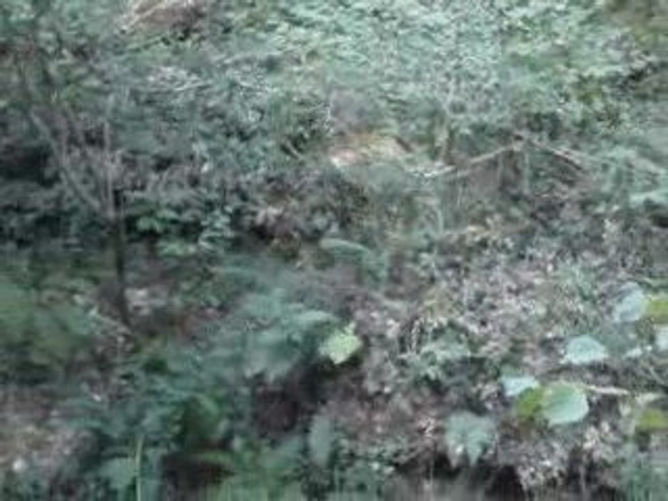 traversee recherche