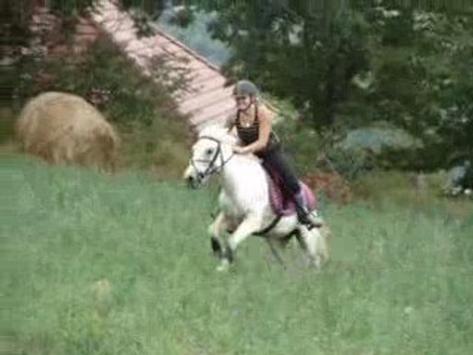 gipsy king