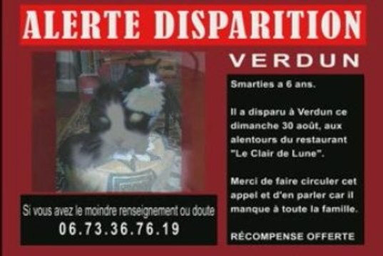 Alerte Disparition à Verdun dans la Meuse en Lorraine