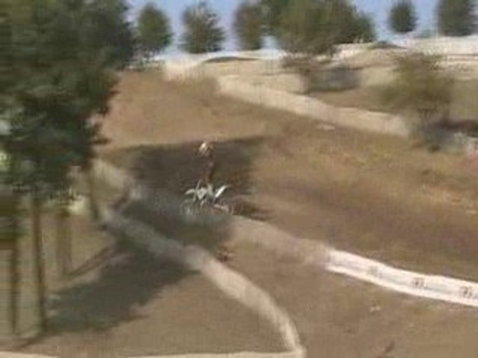 fmx nico