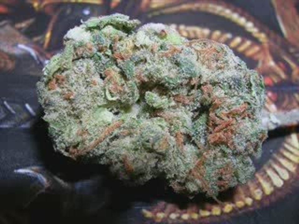 Best Buds Part 3 ( by KillaKushTV))