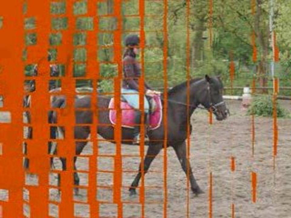 2009-2010 Hipo et Gitane