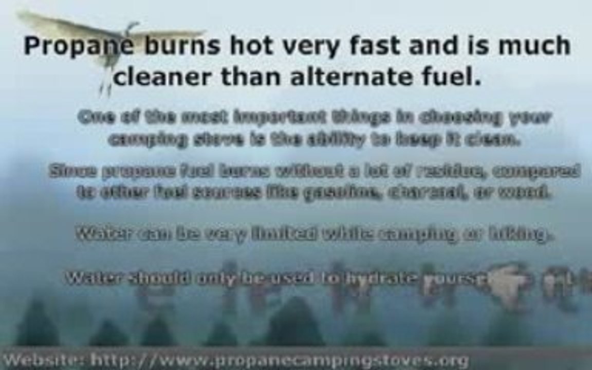 Propane Camping Stoves - Why It's the Best Option