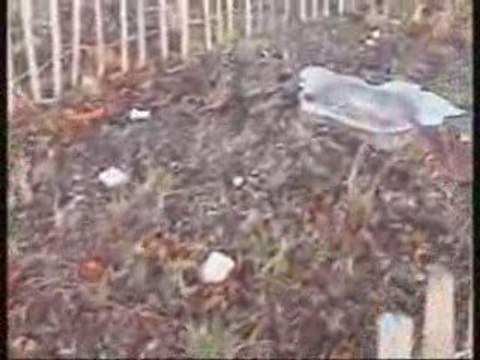 Le Bas-Parc de Saint-Cloud, une semaine après Rock en Seine