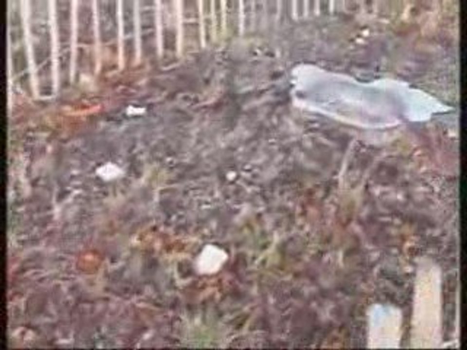 Le Bas-Parc de Saint-Cloud, une semaine après Rock en Seine