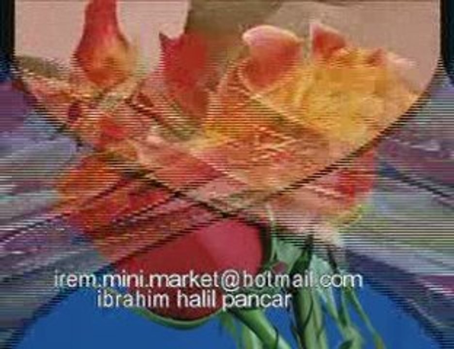 gözlerim yaşlı-ibrahim halil pancar