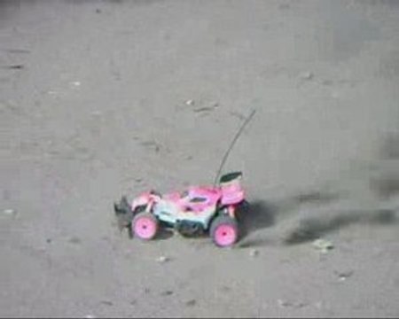 Nikko Panther : Buggy 2 roues motrices à l'échelle 1/12