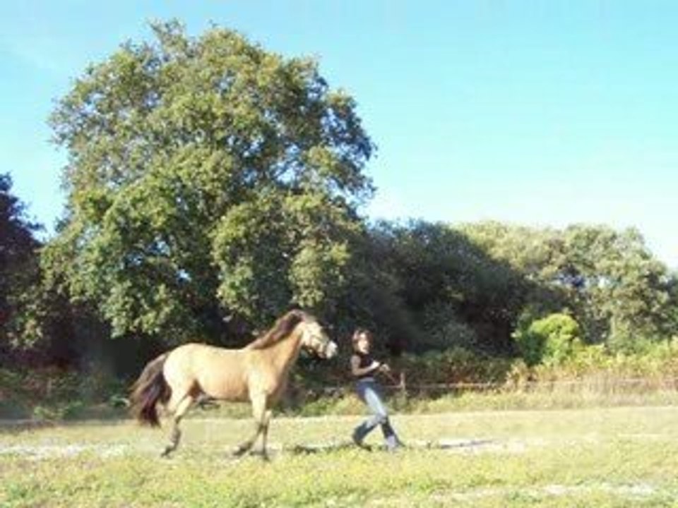 vidéos sur 2 séances