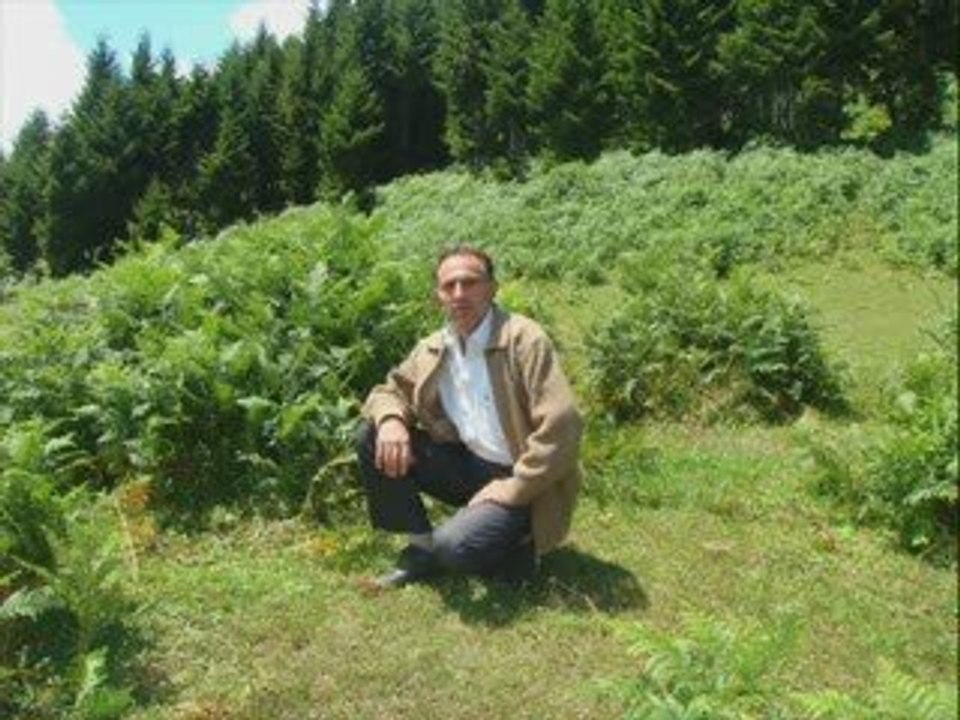 Doğan kayadan çeşitli görünümler