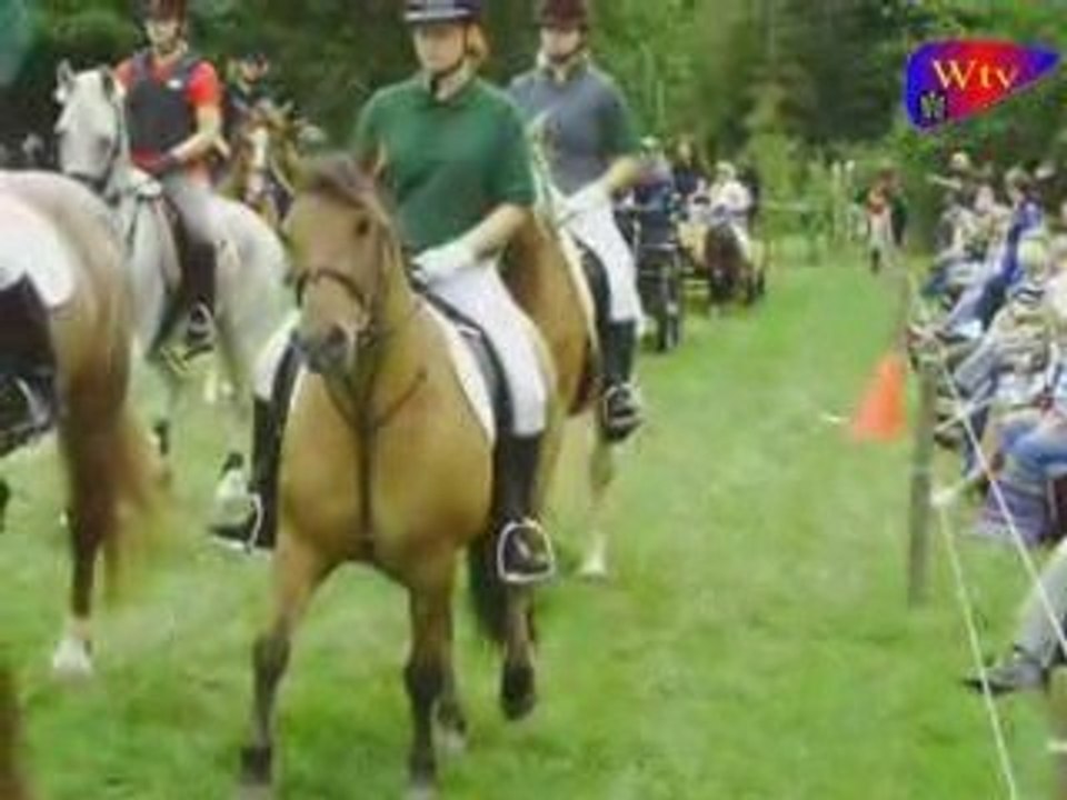 Pony und kleinpferdshow in wernigerode/ benzingerode 2009