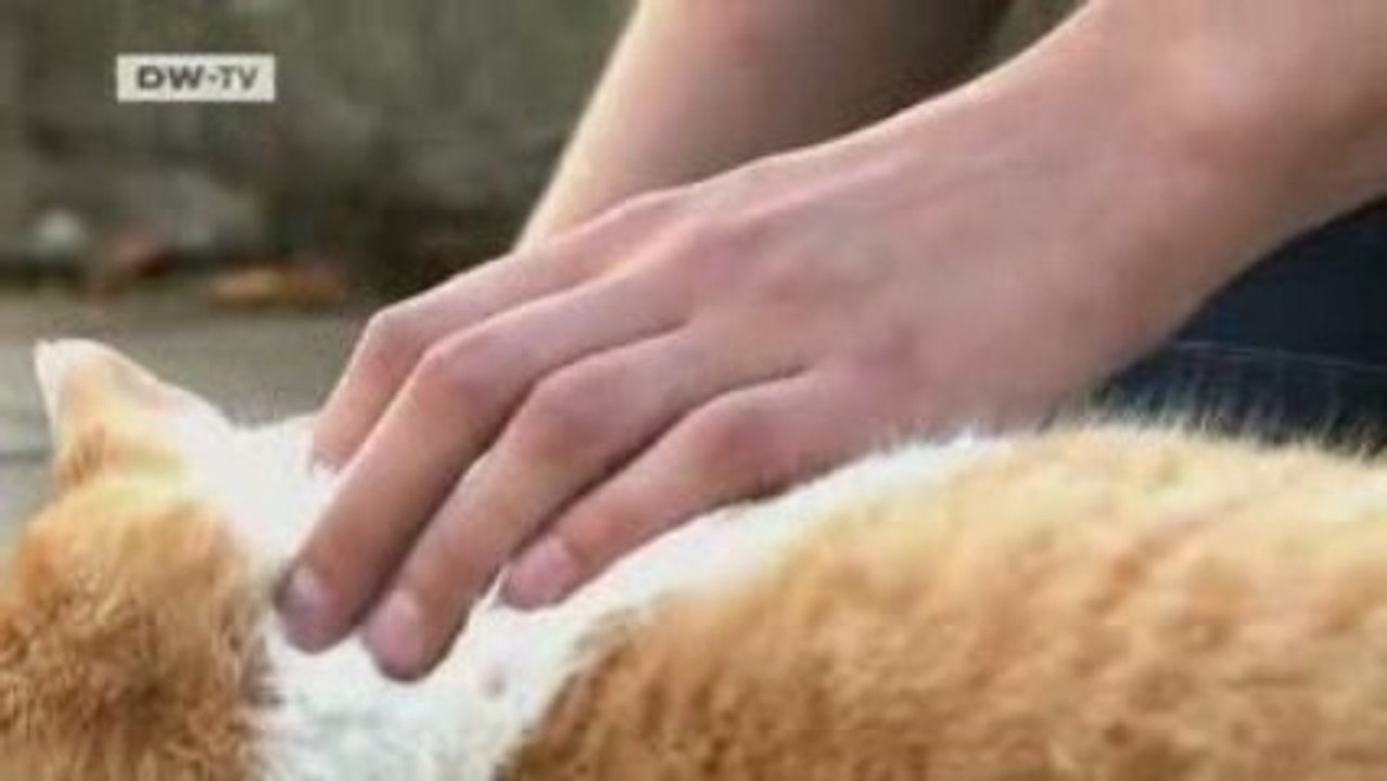 Arts.21 | A Finnish Composer at Schloss Wiepersdorf