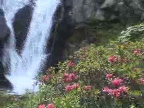 OS DE CIVIS 2009 - Etangs De Siscaro