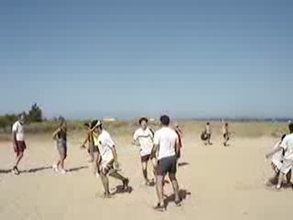 Nihon tai Jitsu Oléron 2009 :  "Allez à moi ! "