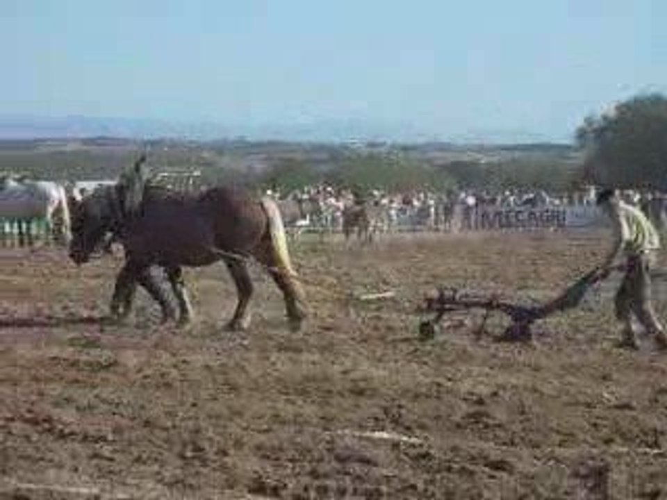 Concours de labour , Peaugres 2009