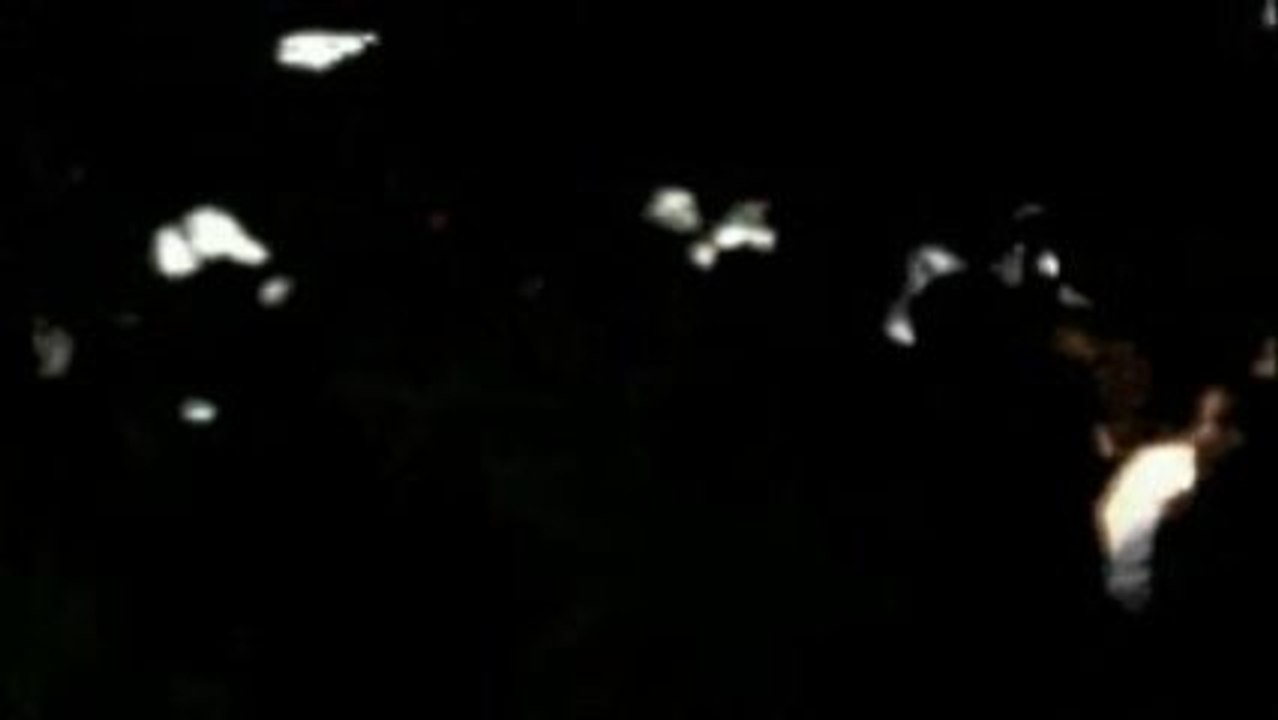 Discobitch - C'est Beau La Bourgeoisie (AeR@nDiR Remix)