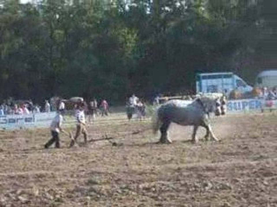 Peaugres ( Ardèche )  2009 , concours de labour