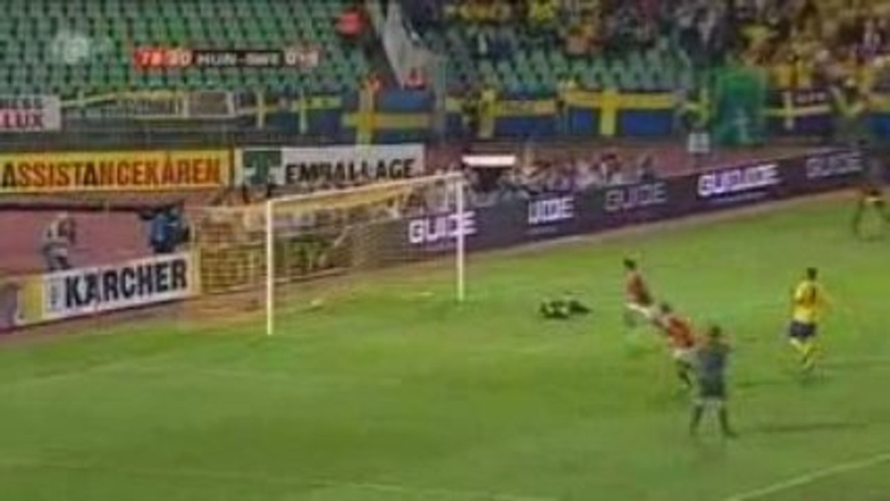 Hongrie 1:2 Suede [Qualif. World Cup 2010]