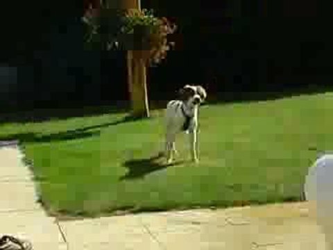 Le courage de Dionysos Part II