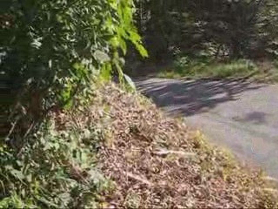 Essais pré Mont Blanc Cedric Robert