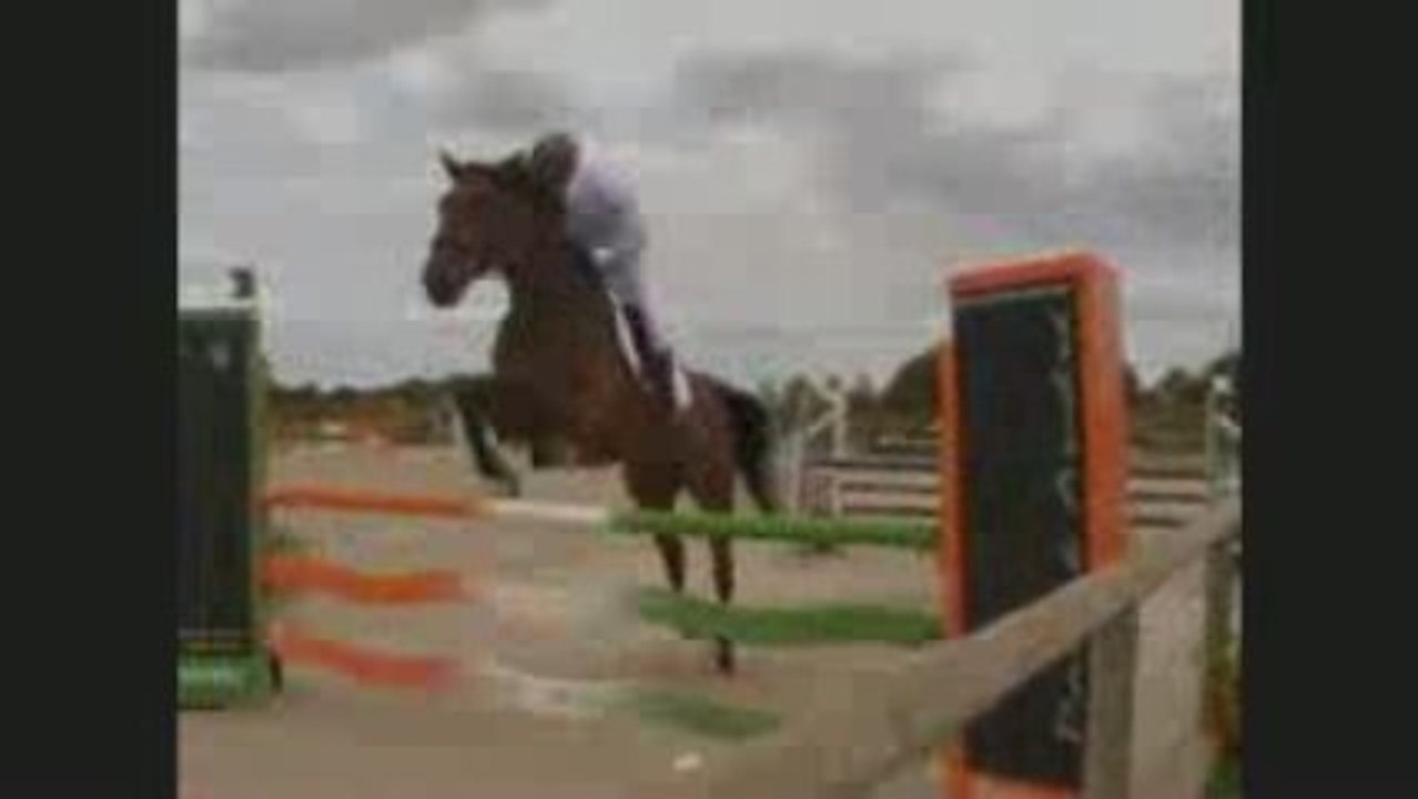 CSO ♥
