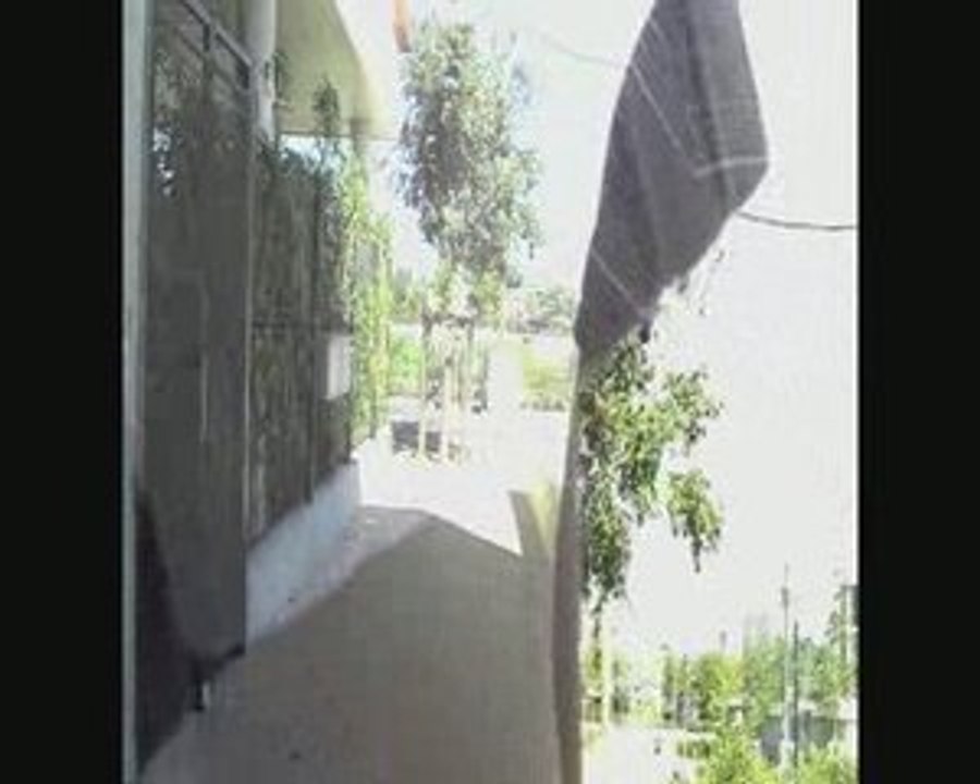 The twin brothers / Les frères jumeaux