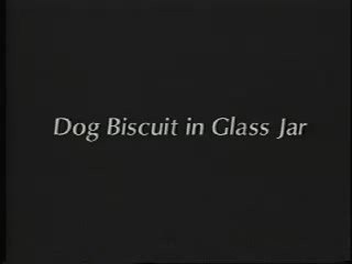 William Wegman Early Videos