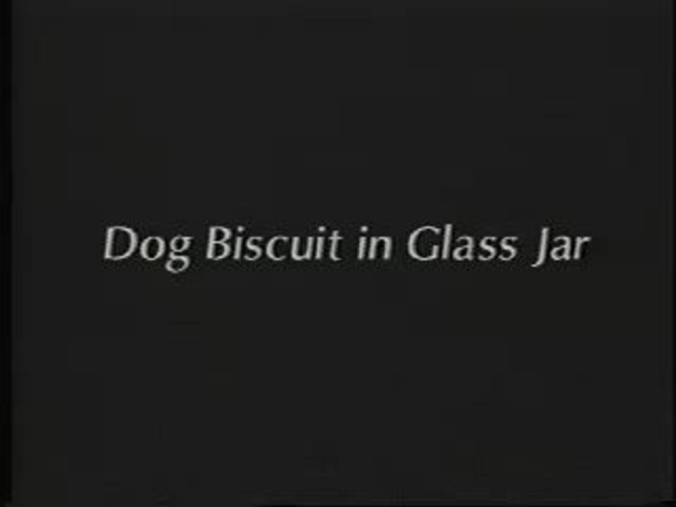 William Wegman Early Videos