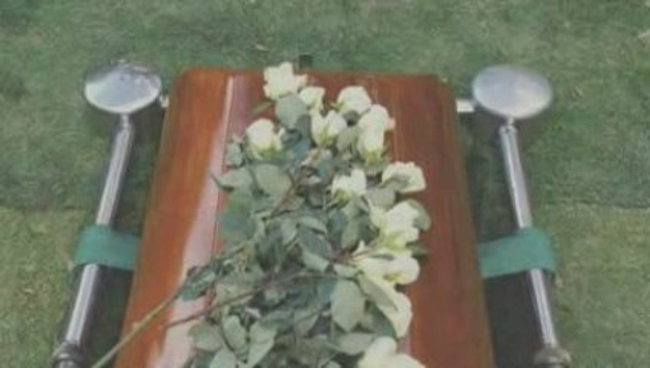 Mitternachtszirkus - Willkommen in der Welt der Vampire