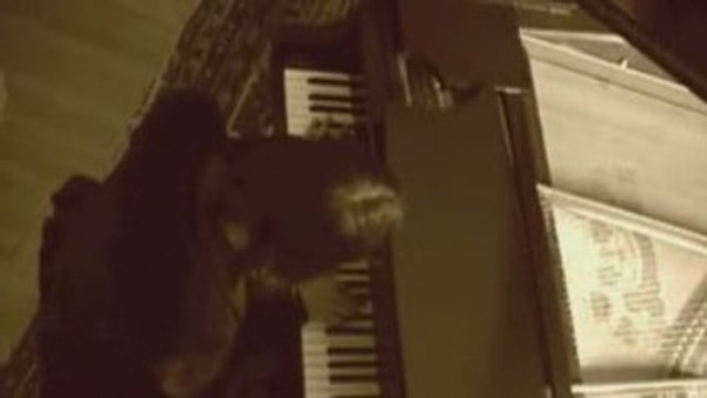 Everything-Trances Arc Atlanta GA Trances Arc