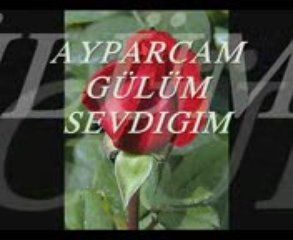 AY Parçam Gülüm