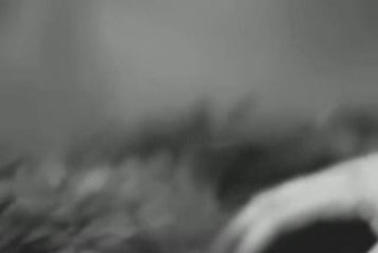 New Moon Edward/Bella/Jacob