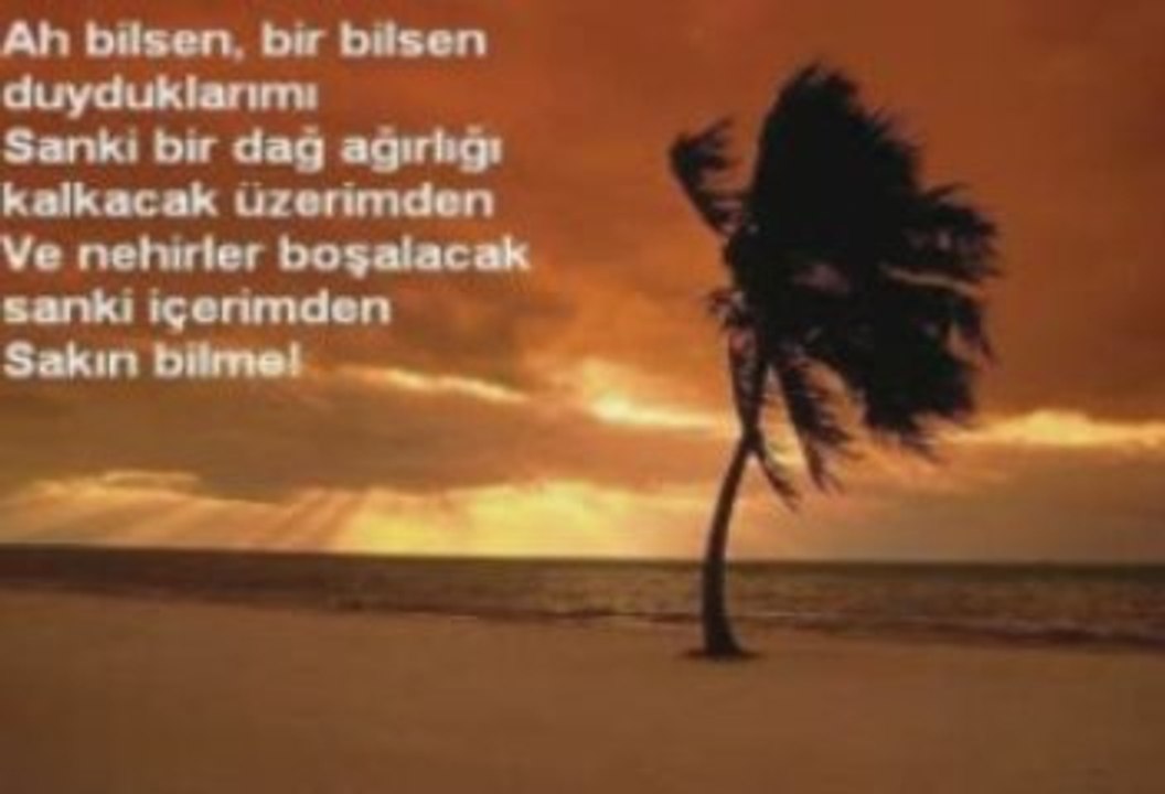 ÇARESİZİM-MAITRE DU SİLENCE