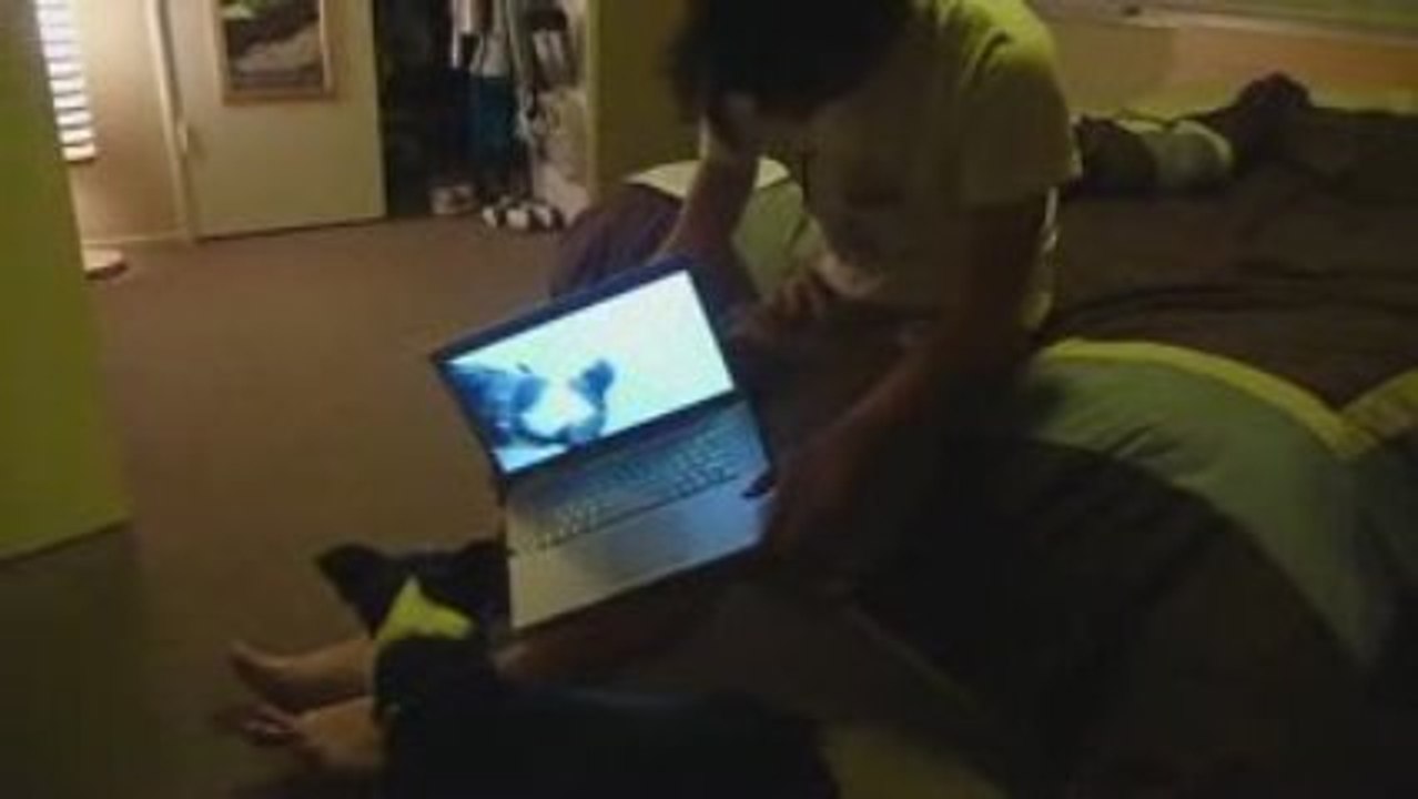 Bubba Watching Himself