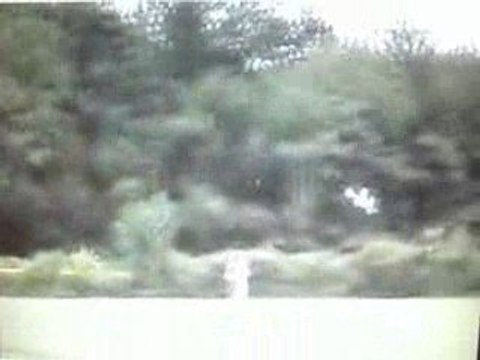 Homemade RC Foam Plane(crash)