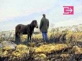 LARRY LYNCH MEETS A PONY by David Prior (UK)