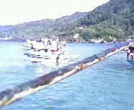 Abana 2009 deniz şenlikleri yaglı kazık sonu