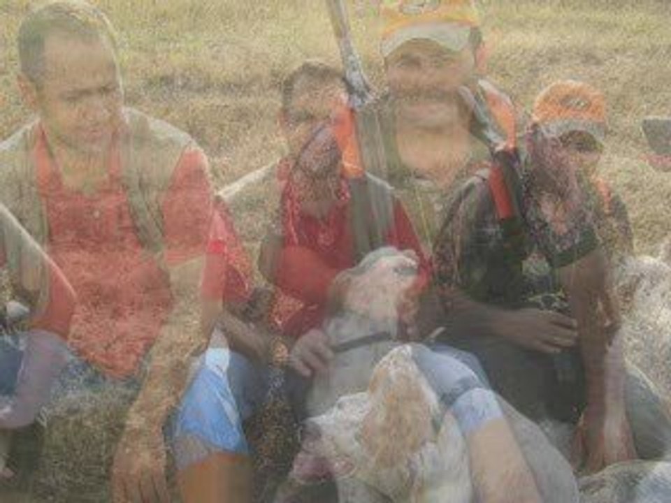 ARNAVUTKÖY BILDIRCIN AVI....