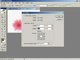 Resmin Art Alan Boyutunu Değiştirmek
