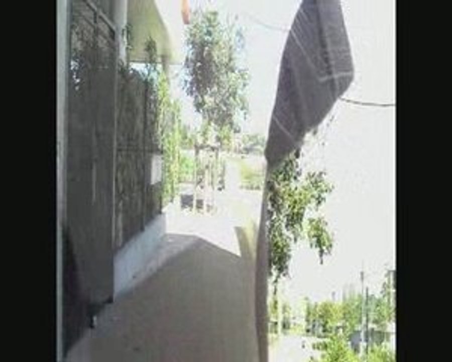 The twin brothers / Les frères jumeaux (EL K. M)