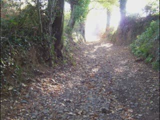 La relique du Mont Courroux -E05-Rencontres au Mont Courroux