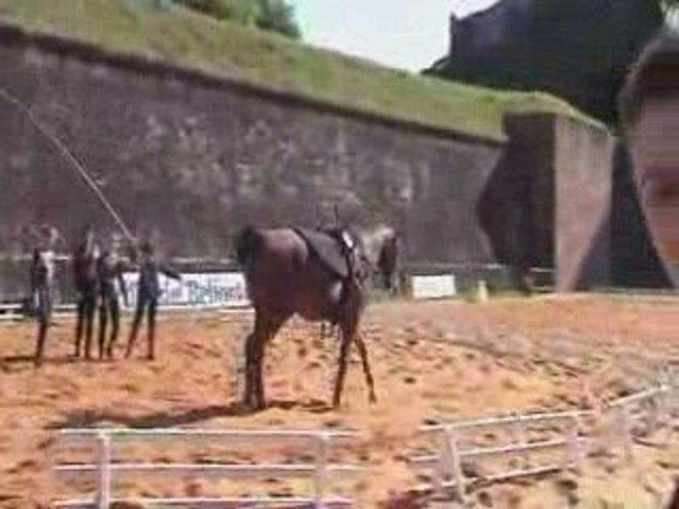 fête du cheval 6 septembre 2009