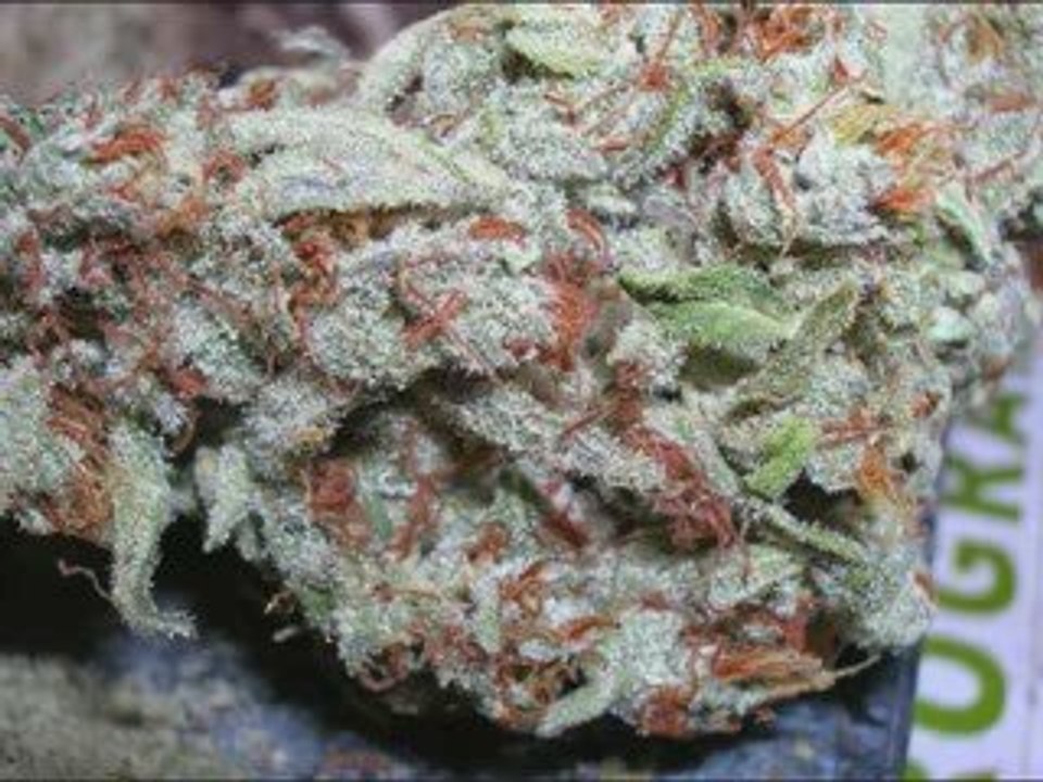 The Dankest Weed Buds