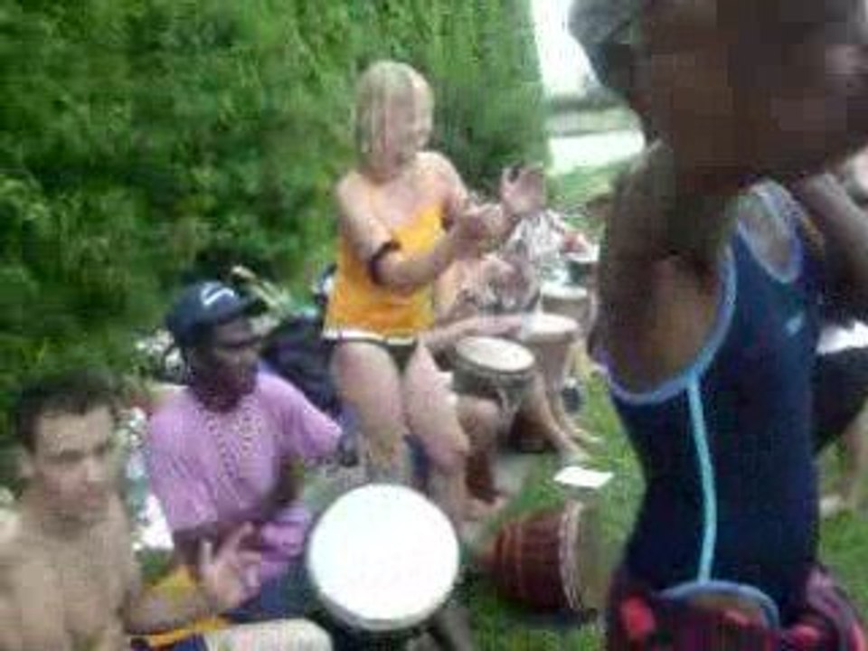 sommer 2008 in wien donauinsel austria