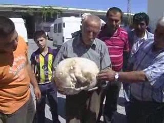 Nevşehir'de Dev Mantar